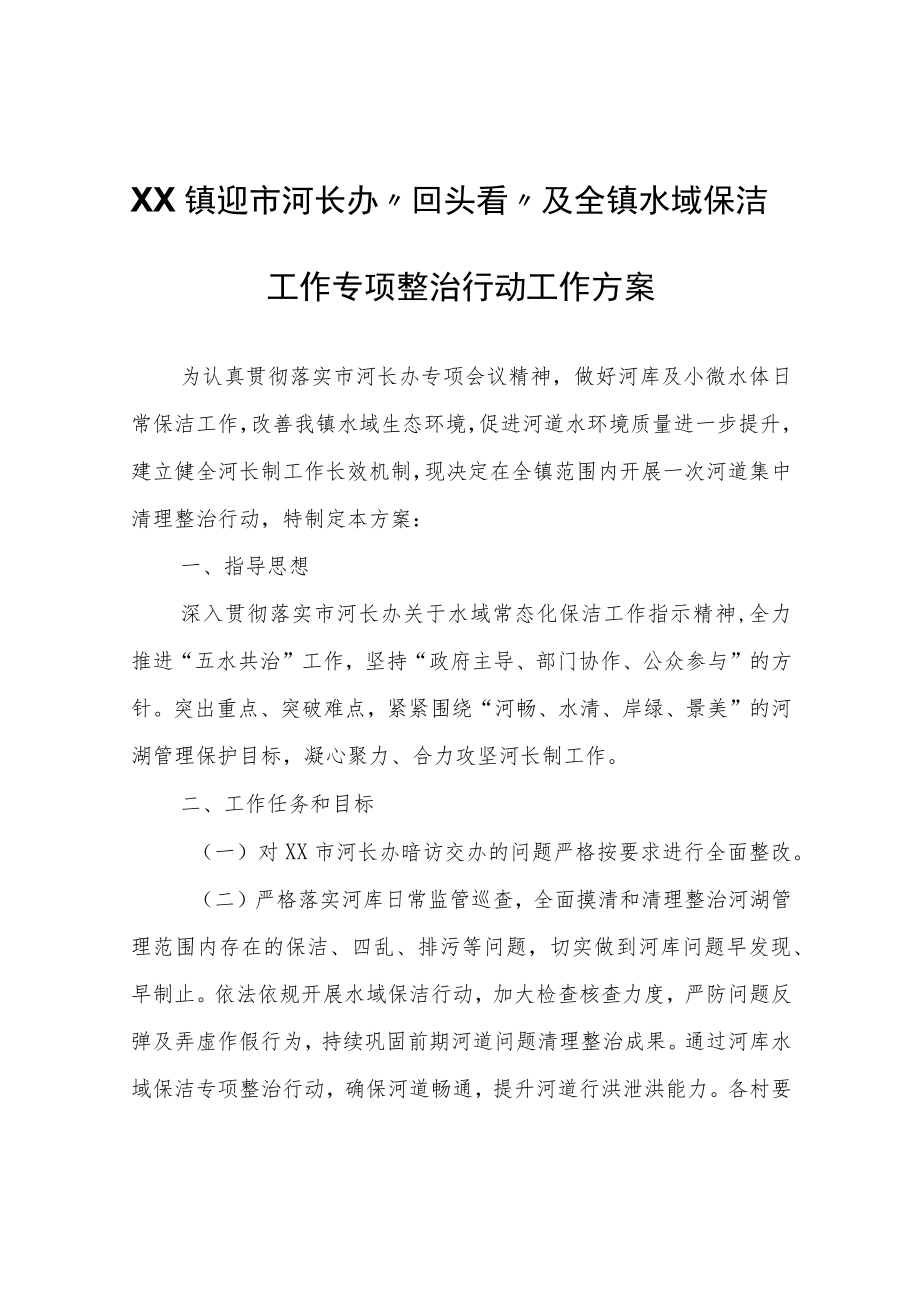 河长办“回头看”及全镇水域保洁工作专项整治行动工作方案.docx_第1页