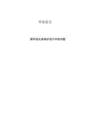 循环流化床锅炉运行中的问题本科毕业论文.doc