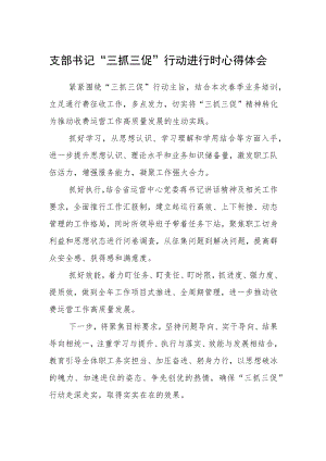 支部书记“三抓三促”行动进行时心得体会.docx