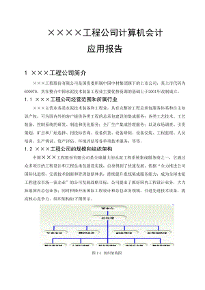 计算机会计应用报告.doc