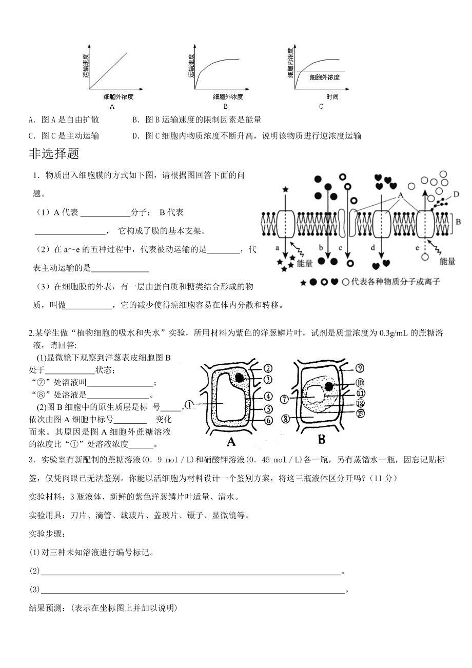 生物必修一第四章练习题.doc_第3页