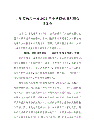 小学校长关于县2023年小学校长培训班心得体会六篇.docx