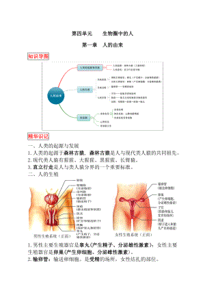 人教版生物七年级下册知识点复习.doc