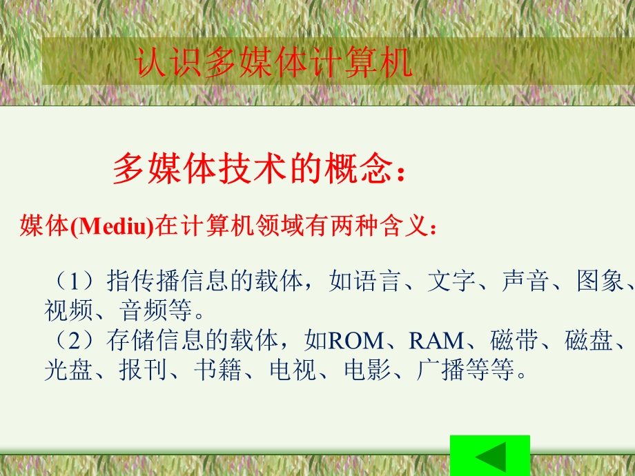 认识多媒体计算机.ppt_第1页