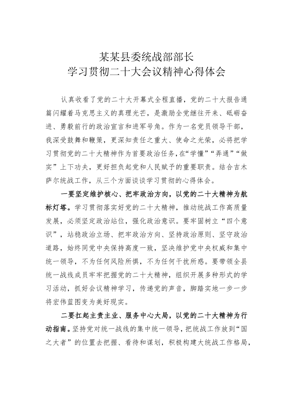 某某县委统战部部长学习贯彻党的二十大会议精神心得体会.docx_第1页