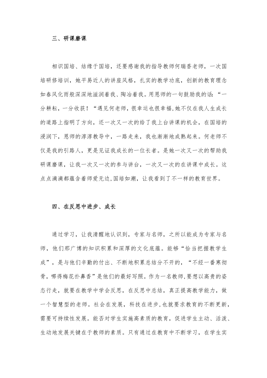 2023年教师参加“国培计划”项目送教下乡培训心得稿两篇.docx_第3页