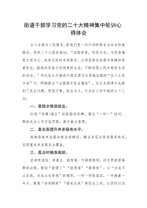 街道干部学习党的二十大精神集中轮训心得体会.docx