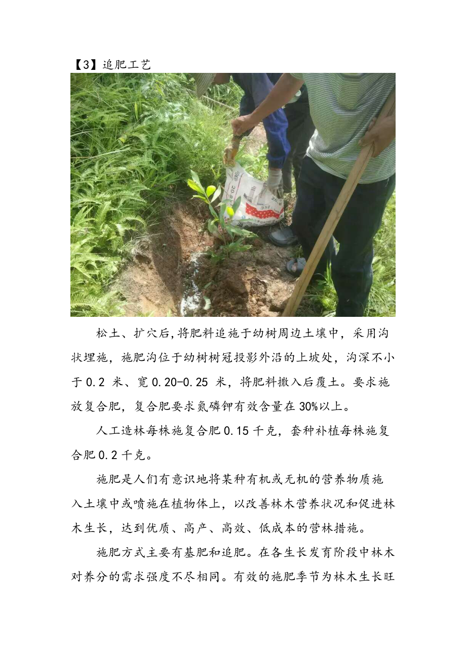 造林工程主要施工工艺.doc_第3页