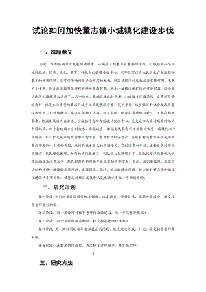 试论如何加快董志镇小城镇化建设步伐开题报告及论文正文.doc