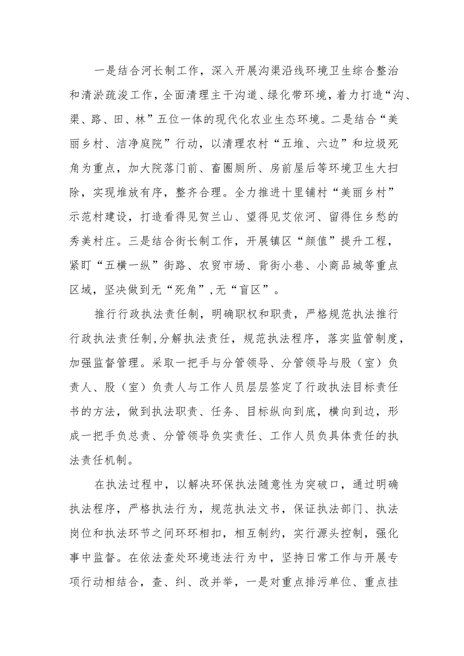 某镇在污染治理重点任务现场交办会上的表态发言.docx_第2页