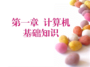 计算机简介概要.ppt