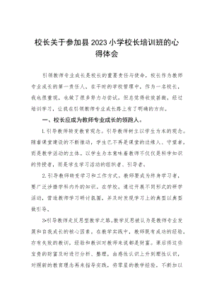 校长关于参加县2023小学校长培训班的心得体会七篇.docx