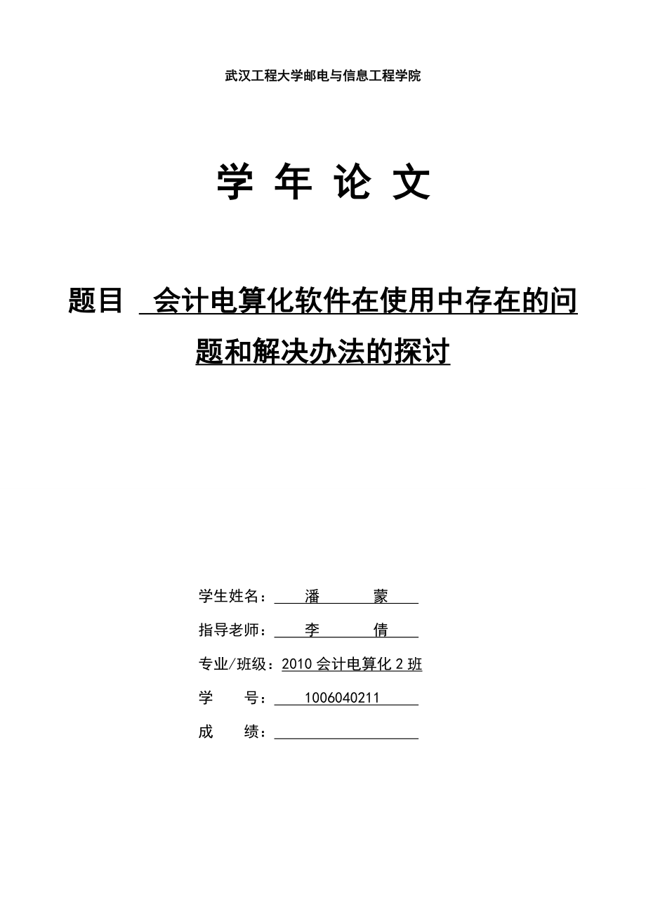 会计电算化软件在使用中存在的问题和解决办法的探讨+潘.doc_第1页