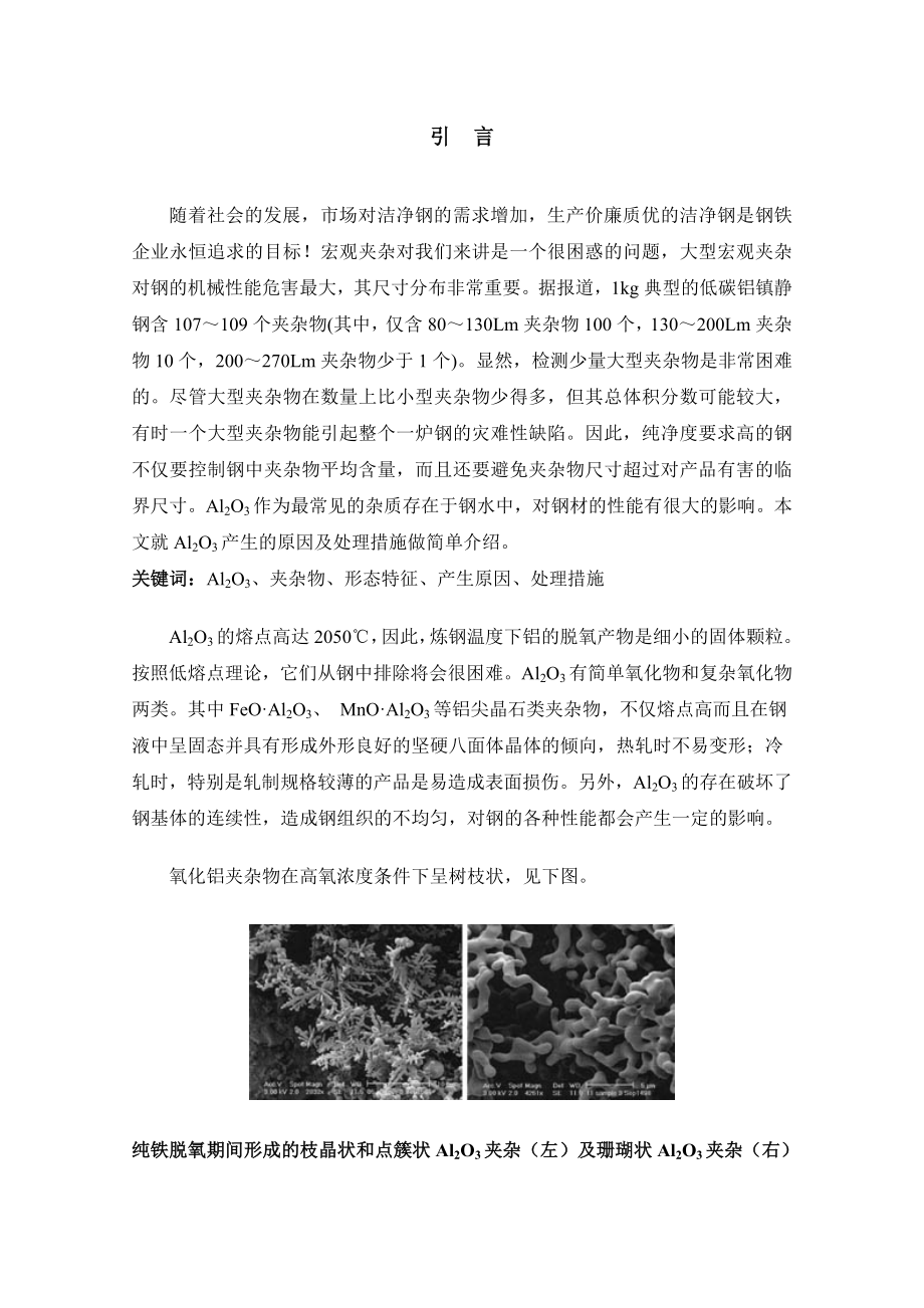 钢水中氧化铝的脱除：毕业论文.doc_第2页