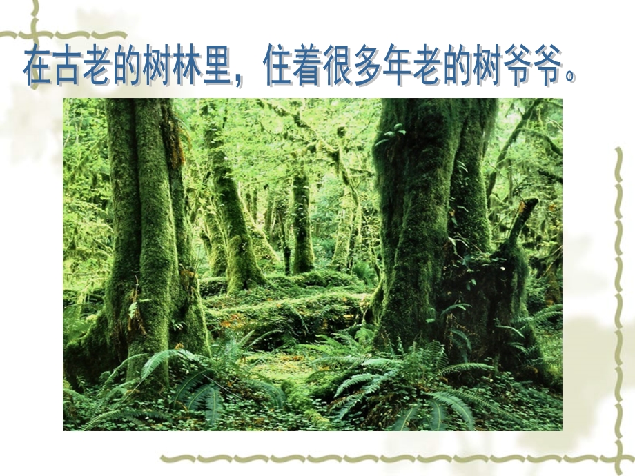 给树爷爷画像10.ppt_第3页