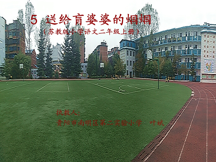 送给盲婆婆的蝈蝈.ppt_第1页