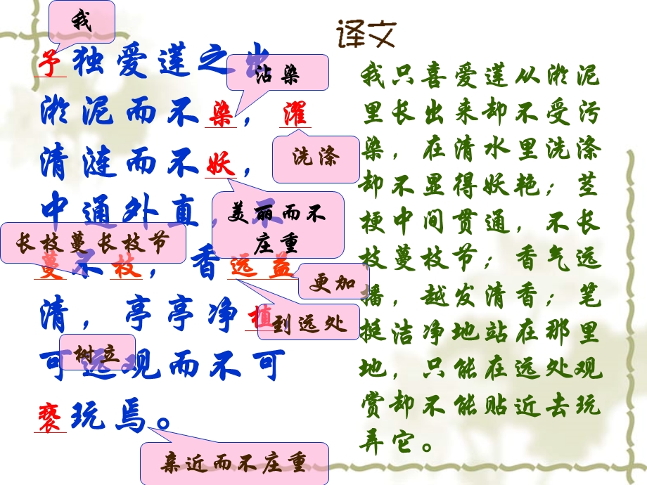 爱莲说复习课件[1].ppt_第3页