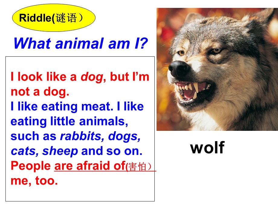 Grade6下册Review1Readingandwriting.ppt_第2页