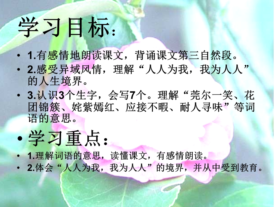 自己的花是给别人看的 (2).ppt_第2页