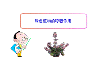 绿色植物的呼吸作用 (2).ppt