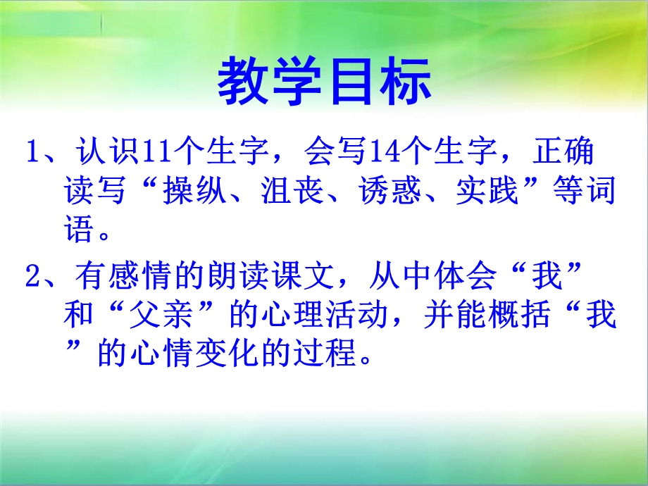 钓鱼的启示 (5).ppt_第2页