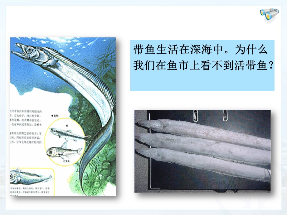 液体的压强 (2).ppt_第2页