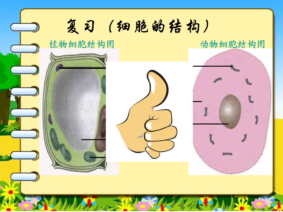 细胞生活(课件).ppt_第1页