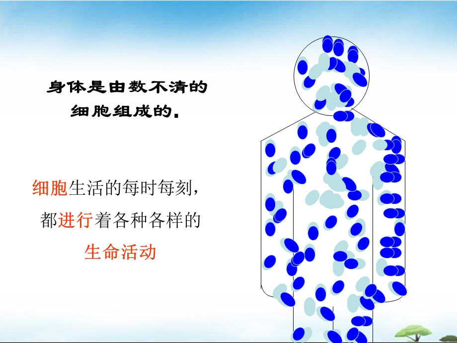 细胞生活(课件).ppt_第2页