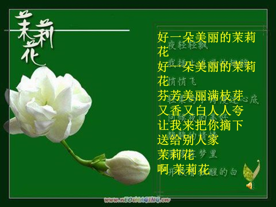 茉莉花课件.ppt_第2页