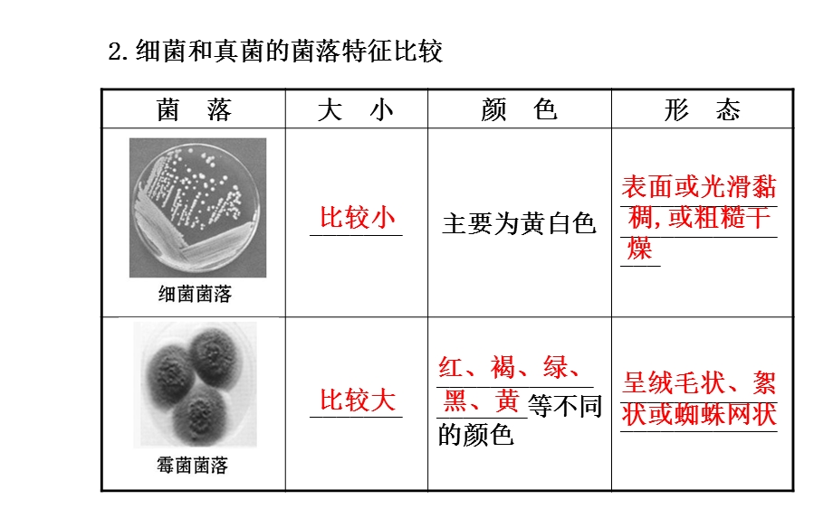 生物课件：人教版八年级上册第五单元+第四章+第一节+细菌和真菌的分布(1).ppt_第3页