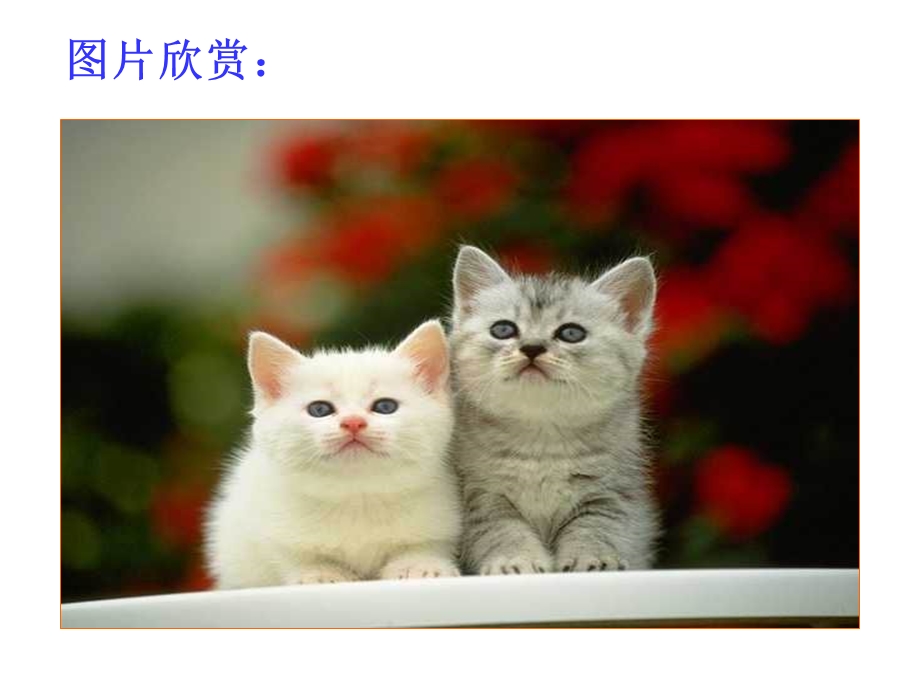 郑振铎《猫》课件(31页).ppt_第2页