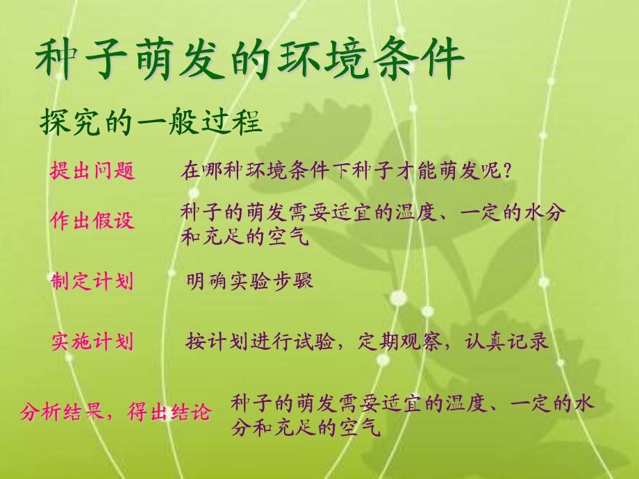 种子的萌发_14.ppt_第2页