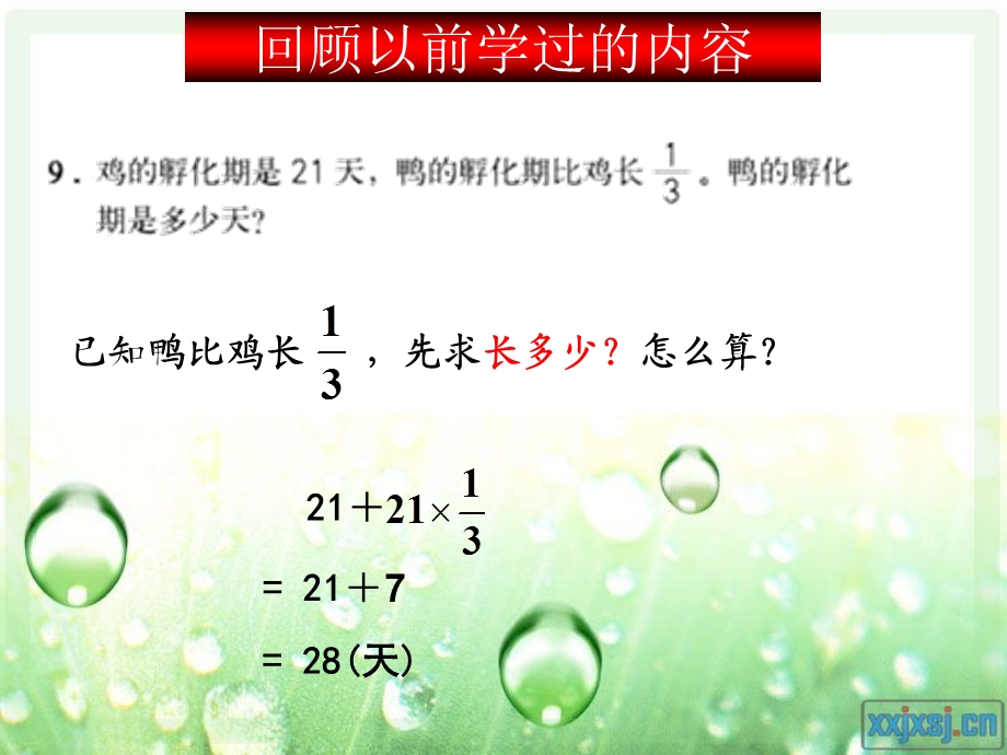 _分数除法应用题(例2).ppt_第3页