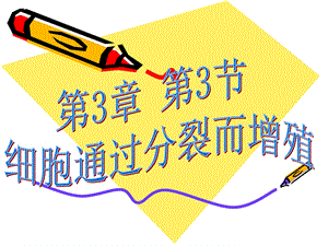 细胞通过分裂而增殖2.ppt