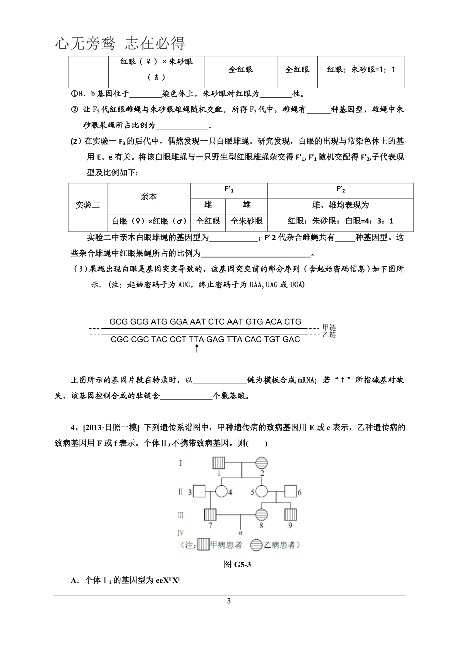 lyz16_伴性遗传一轮复习必修2－16.doc_第3页