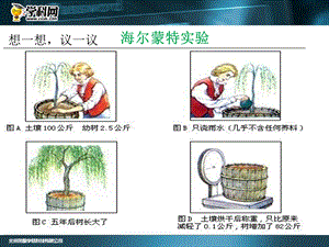 2015人教版生物七上351光合作用吸收二氧化碳释放氧气.ppt