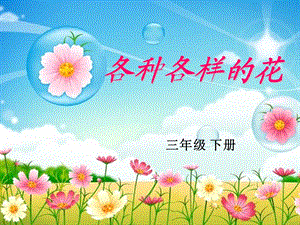 《各种各样的花》.ppt