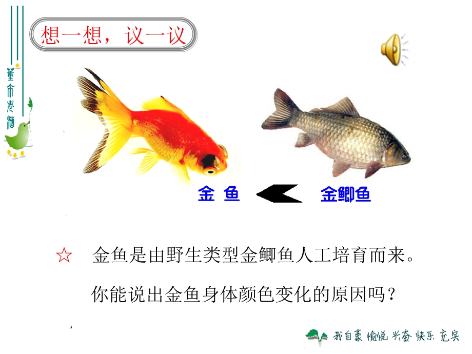 生物的变异.ppt_第1页