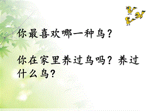 《可爱的小鸟》课件 (2).ppt