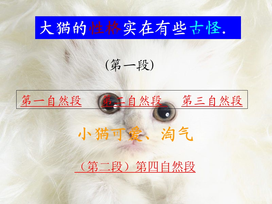 老舍《猫》课件（26页）.ppt_第3页