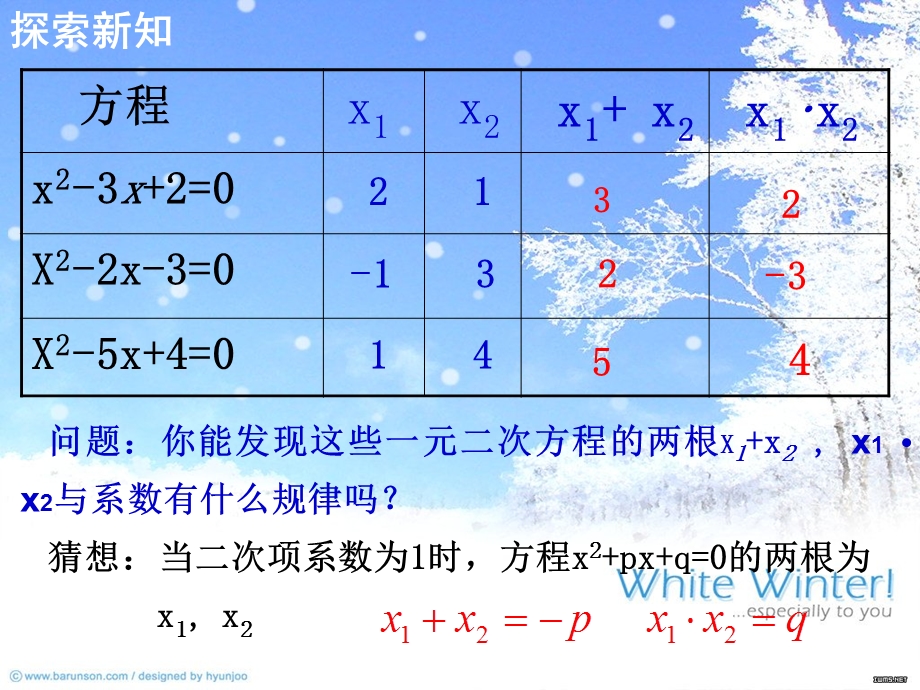 2224一元二次方程的根与系数的关系.ppt_第3页