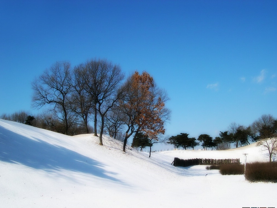 雪地里的小画家3.ppt_第2页