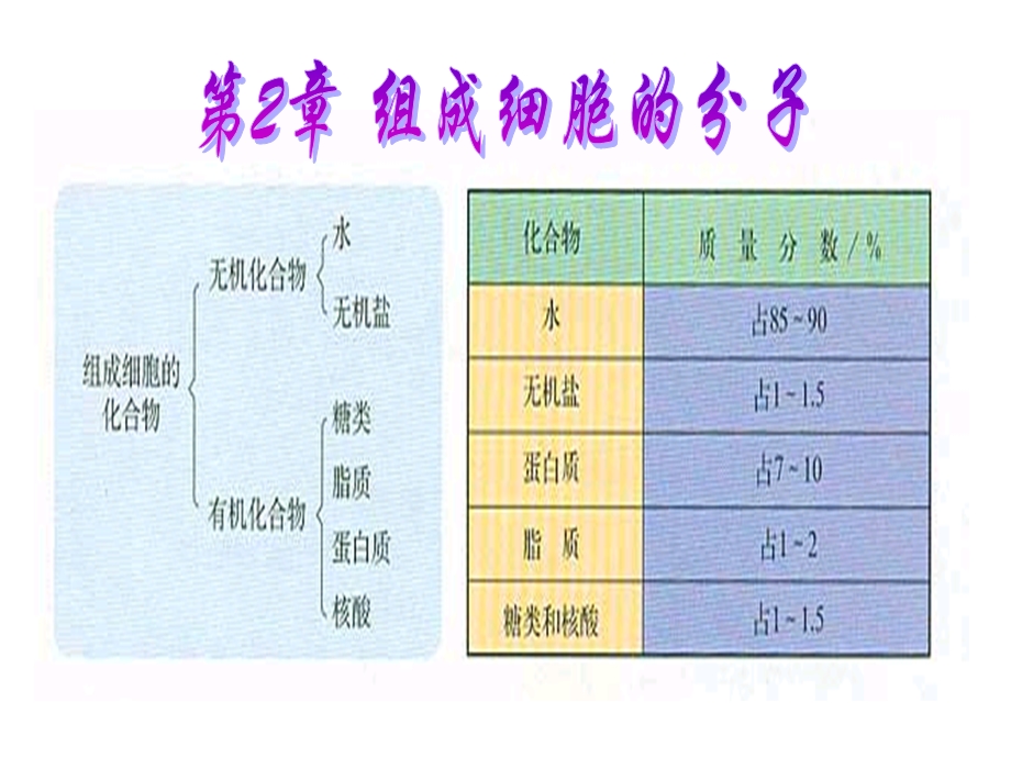 细胞中的糖类和脂质.ppt_第2页