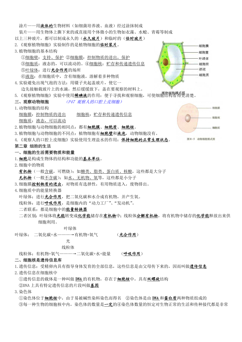 中考七年级上册生物复习资料.doc_第3页