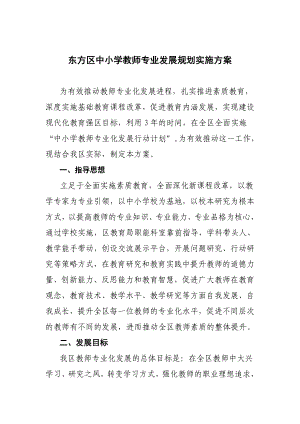 东方区中小学教师专业发展规划实施方案.doc