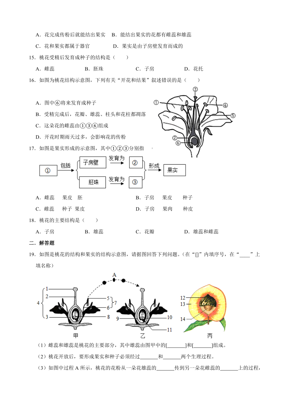 人教版七年级生物上册-第三单元第二章--被子植物的一生--复习题(包含答案).doc_第3页