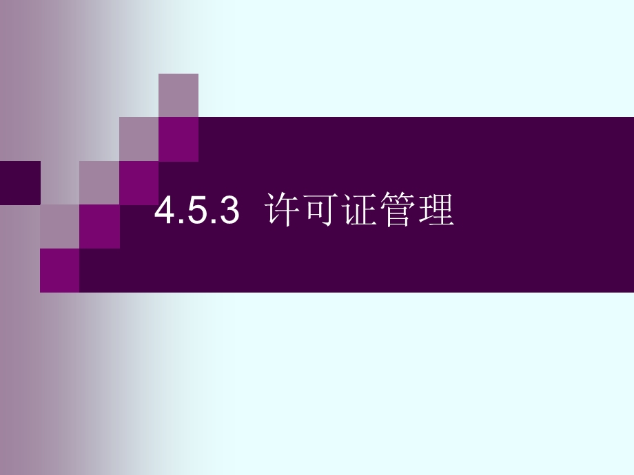 4.5.3进出口许可证.ppt_第1页