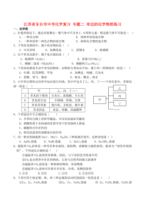 专题二身边的化学物质练习.doc