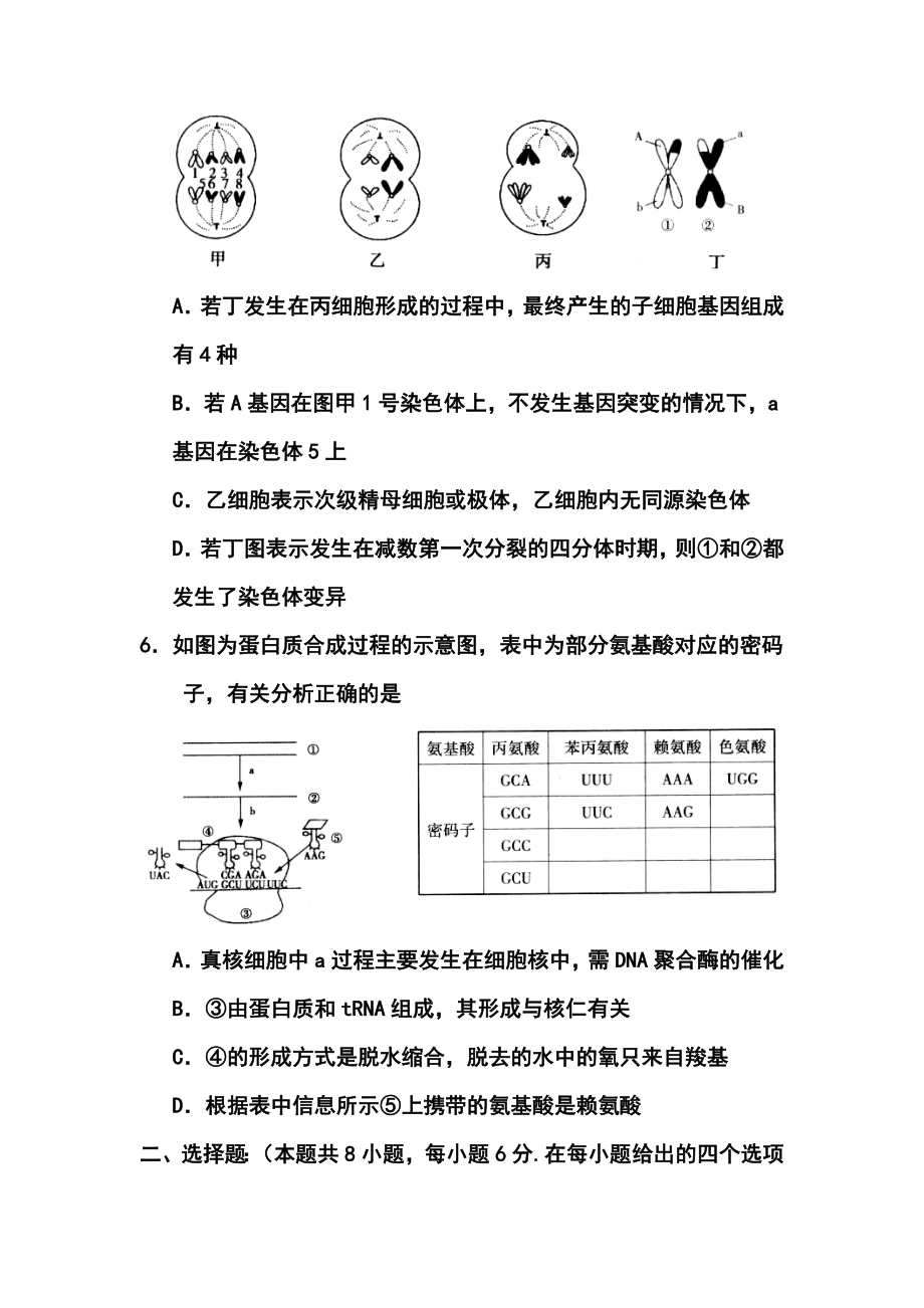 湖北省八校高三第一次联考试生物试题及答案.doc_第3页