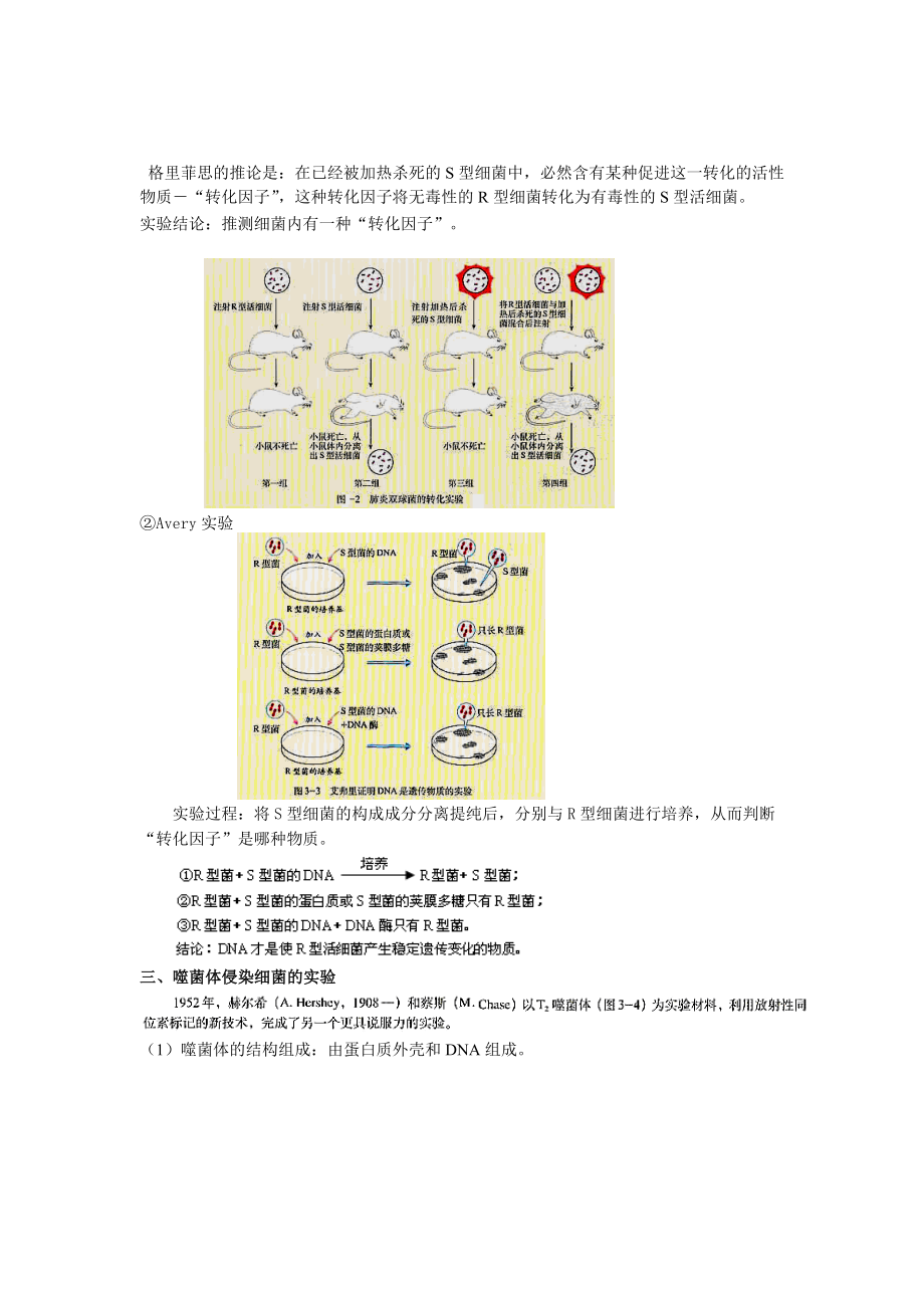 DNA是主要的遗传物质复习教案.doc_第3页